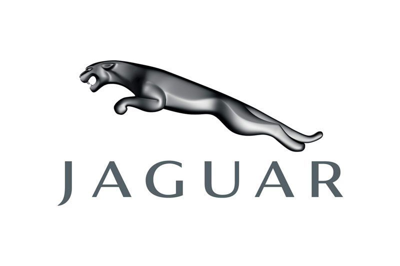 jaguar-1